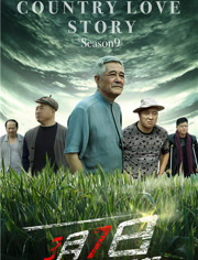乡村爱情9(下)