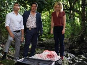 11月1日收视率报告+剧集续订取消预测 CBS三线持平 11月1日收视率报告+剧集续订取消预测 CBS三线持平